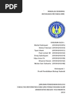Download Integrasi Metabolisme by Khaerul Senhu SN50713364 doc pdf