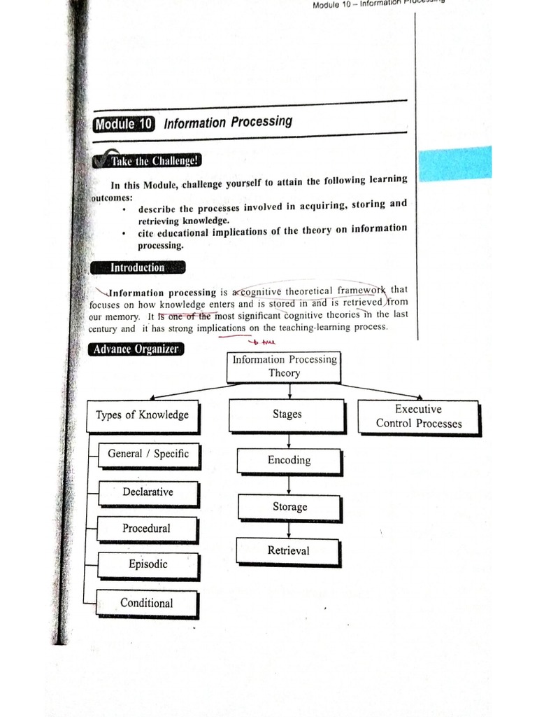 Information Processing | PDF