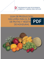 Guia de Produccion mas limpia para el rubro de frutas y vegetales de honduras