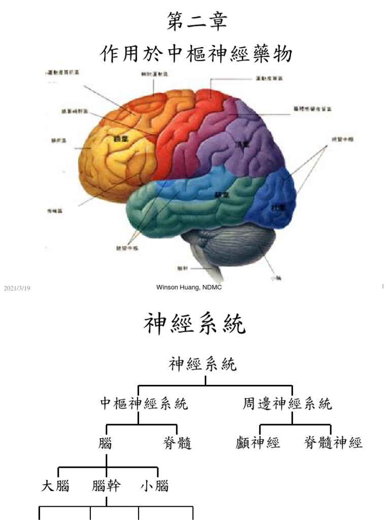 4. 中樞神經藥物1 - 興奮- 安眠| PDF