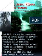 El Árbol Figura Del Hombre