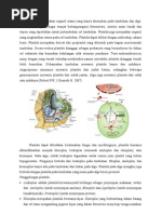 Download Plastida by Silvy Aulya SN50720310 doc pdf