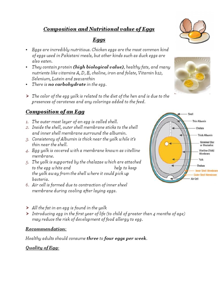 Composition and Nutritional Value of Eggs Eggs PDF