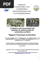 『BTS goes on!』Member Edition -JIN ver.- Rapport Technique Valuation-Syst Mes-Coton Culture Paficot | PDF
