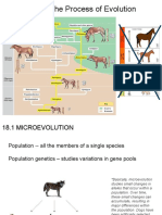 CH 18 Process of Evolution