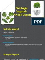 Nutriçao Vegetal