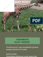 (P7) Dinamika - End - Kul 2019