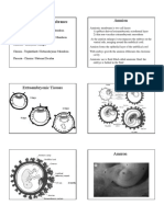 Fetal Membranes and Placenta Formation