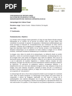 Guarini Antropologia de La Cultura Visual