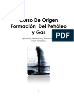 Manual Origen del Petróleo y Gas