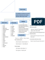 Mapa Conceptual - Balance de Materia