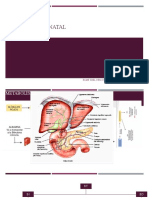 Hiperbilirrubinemias Neonatologia