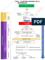 03 - Mapa Conceptual - Historia Natural de La Enfermedad