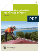 Best Practice Guidelines For Working On Roofs: JUNE 2012