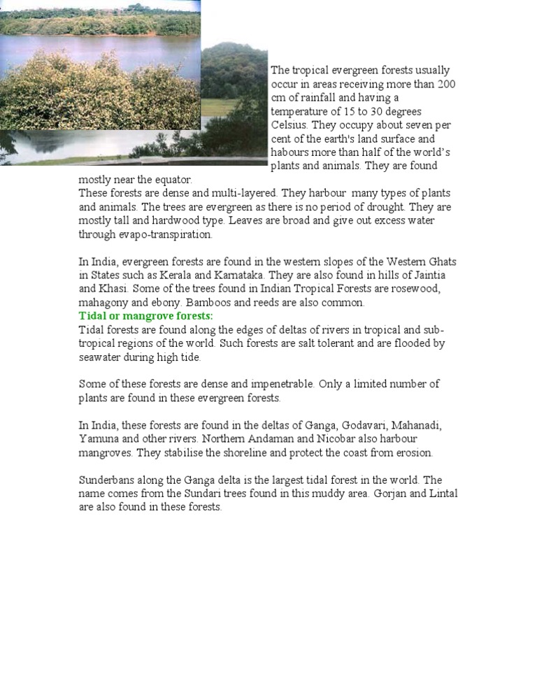 Tropical Evergreen and Mangrove Forests | PDF | Home & Garden | Science ...
