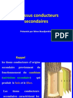 Cours 6-Tissus Conducteurs Secondaires