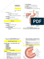 Hap Digestive System Ver1