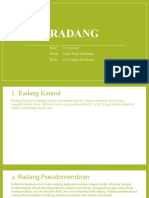 RADANG (Zidan Nabil M (1811E1006) )