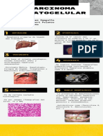 Carcinoma Hepatocelular