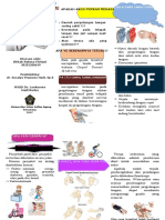 Cts Leaflet PDF Free