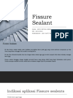 Fissure Sealant