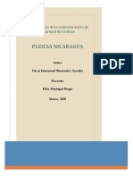 Plan de Trabajo de La Comisión Mixta de Higiene y Seguridad Del Trabajo Lleno