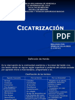 Cicatrizacion 090830205939 Phpapp01