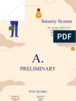 Sensory System - Group 4