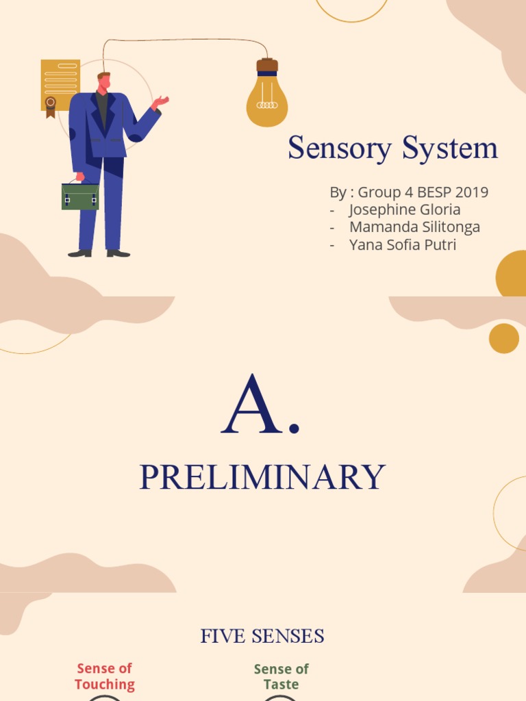 Overview of the Sensory System | PDF | Senses | Ear