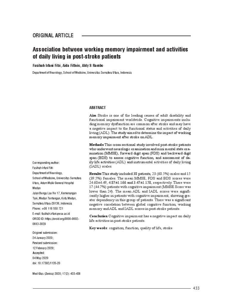 Memory Impairment's Impact on ADL Post-Stroke | PDF | Working Memory ...