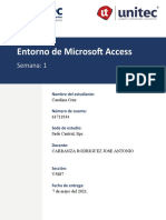 Tarea 1.1 Entorno de Microsoft Access-Carolinacruz