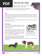 Pet Care of A Dog Differentiated Reading Comprehension Activity