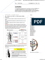 KABBALAH e MAÇONARIA - 21 - A - Arvore Da Vida - e o Microcosmo (Adão Kadmom)