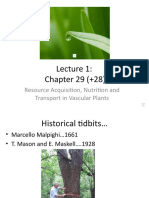 Chapter 29 (+28) : Resource Acquisition, Nutrition and Transport in Vascular Plants