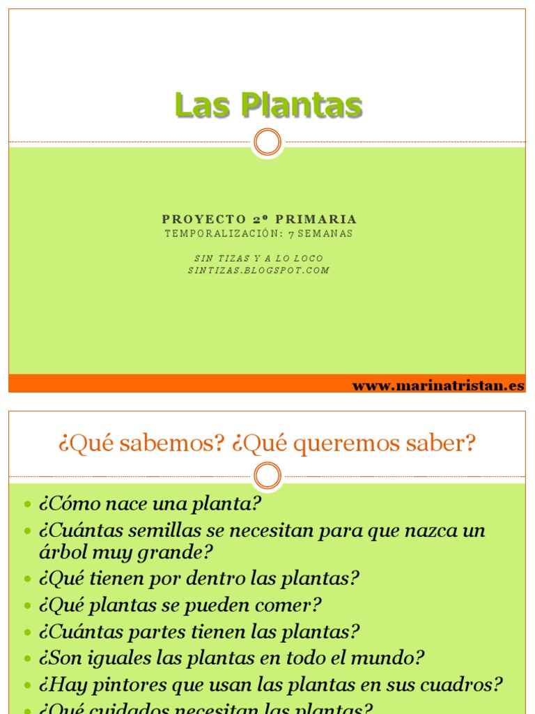 Proyecto Escolar: Las Plantas y su Entorno | PDF | Vincent Van Gogh ...