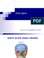 Kosti Glave