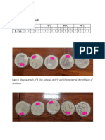 Results Table 1. Showing The Results Organism 60 C 70 C 80 C 90 C E. Coli + + + + + + + + + + + + + + + + + + + +