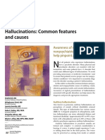 Hallucinations: Common Features and Causes