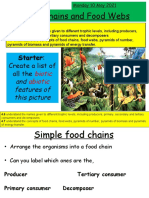 Food Chains and Food Webs Explained