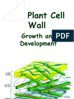 The Plant Cell Wall: Growth and Development