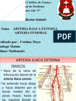arteria iliaca y femoral