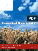 Feeding Small Grains To Swine: PM 1994 July 2005