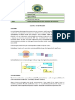 Enzimas de Restricción