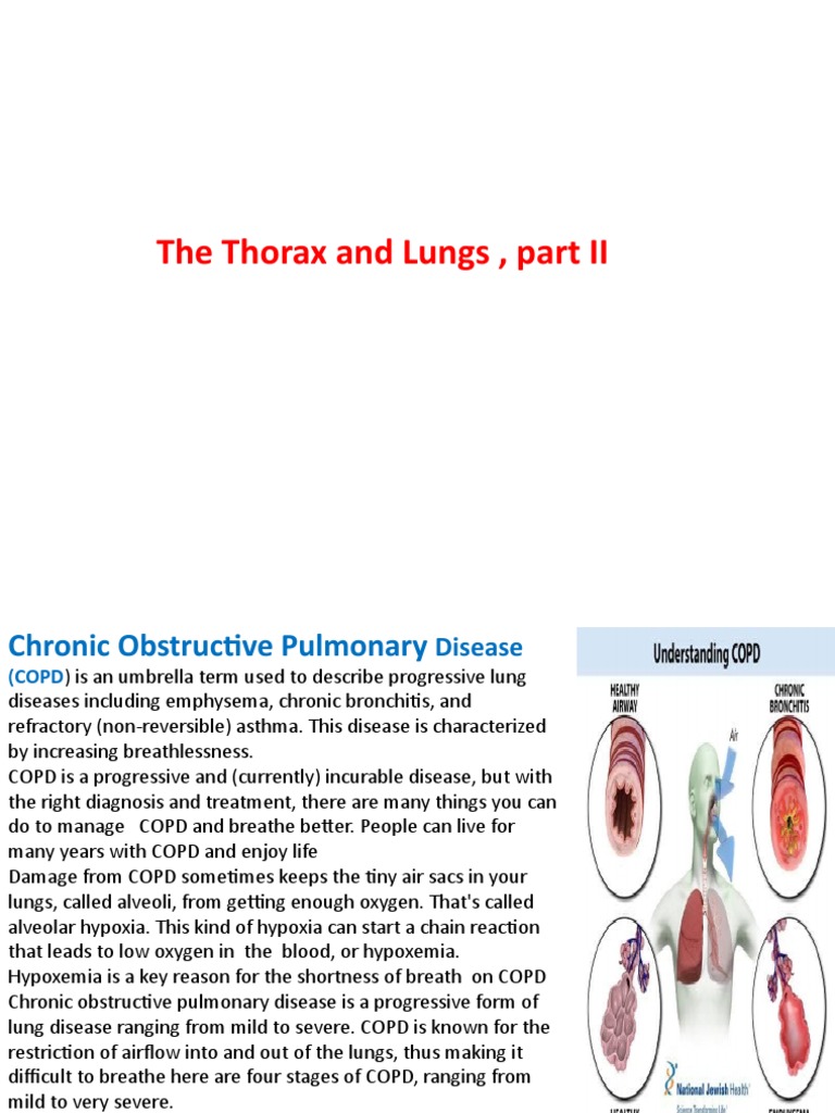 The Thorax and Lungs, Part II | PDF | Chronic Obstructive Pulmonary ...