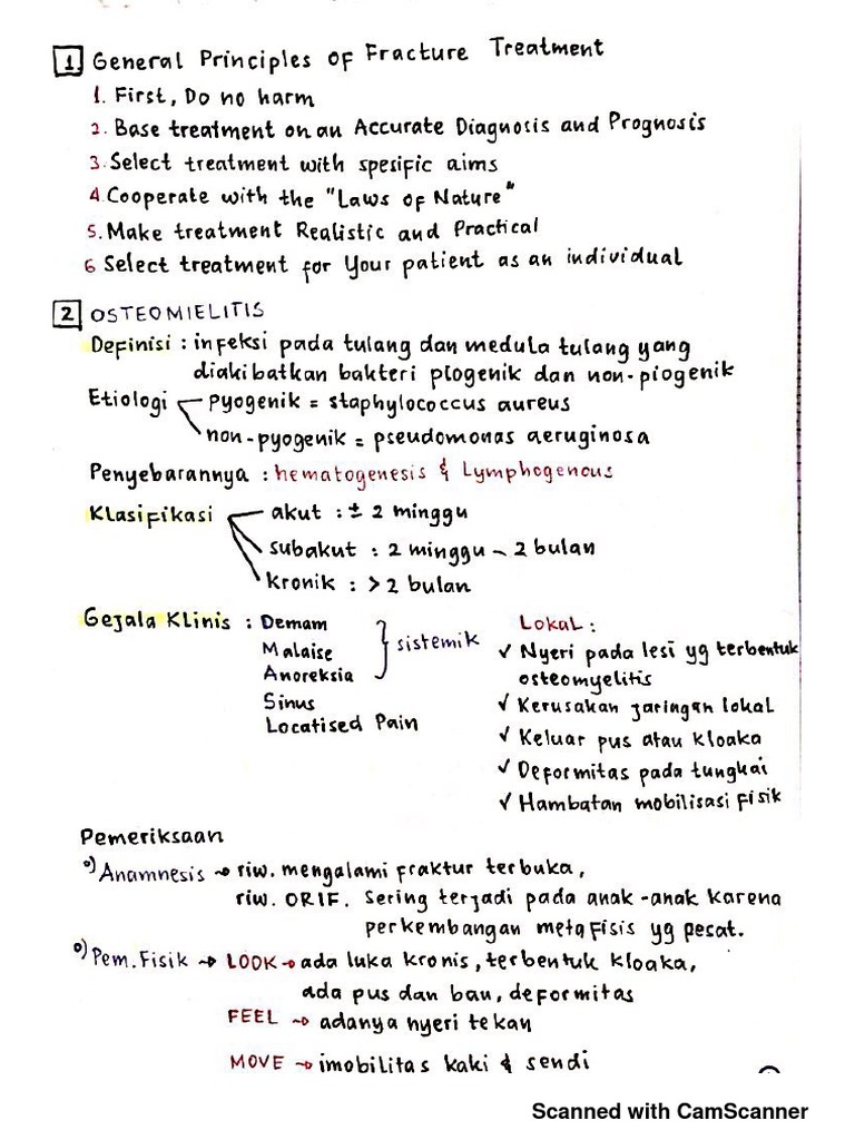 Notes Ortho - Post-Test | PDF