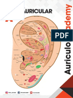 Mapa Auricular - AuriculoAcademy