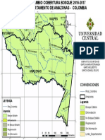 Mapa de cambio de cobertura en el departamento del Amazonas