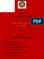 Capitulo 6 Sistema Muscular Biol2000