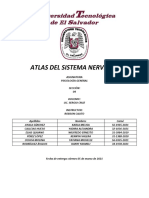 Atlas Del Sistema Nervioso Corregido