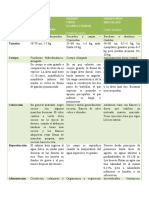 Cuadro Comparativo